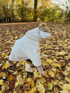Teddyjacke Oversized, gefüttert mit Teddyfell aus 100% Baumwolle hellbeige