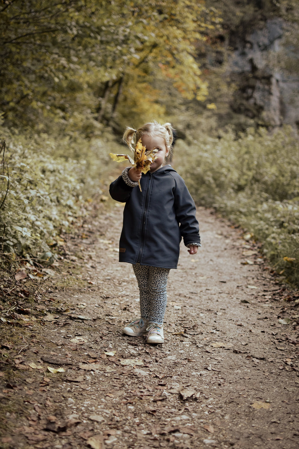 Jacke Softshelljacke Kinderjacke anthrazit und innen leo oder gestreift