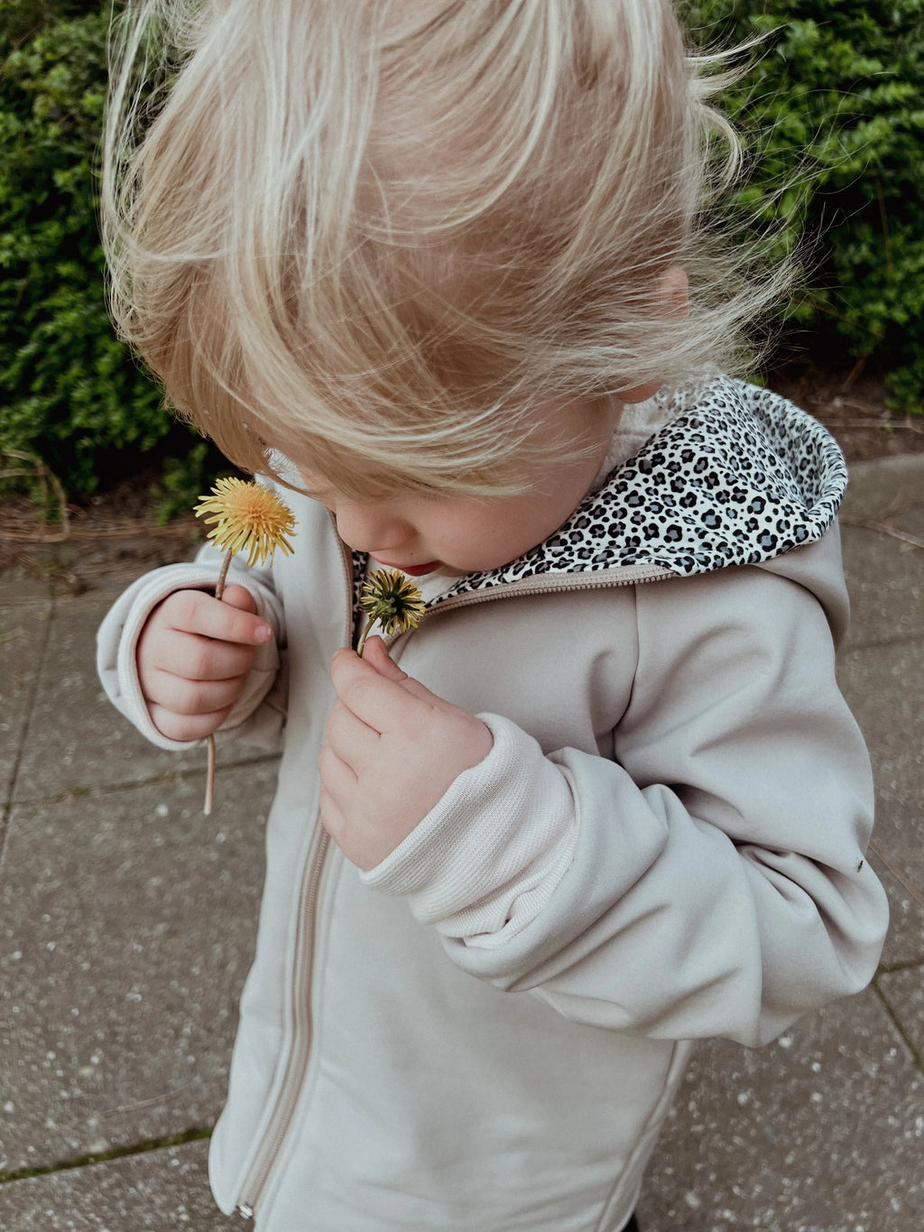 Jacke Softshelljacke Kinderjacke beige und innen leo oder gestreift