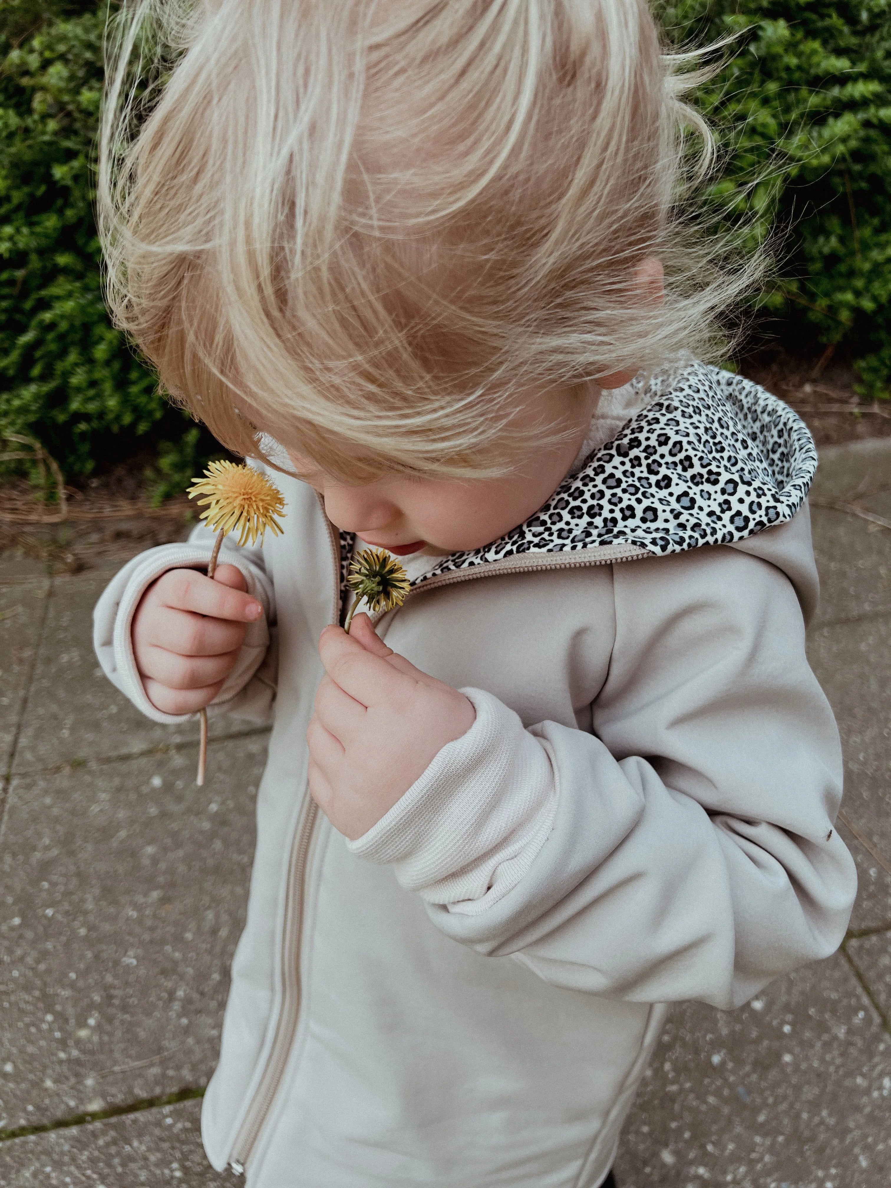 Jacke Softshelljacke Kinderjacke beige und innen leo oder gestreift