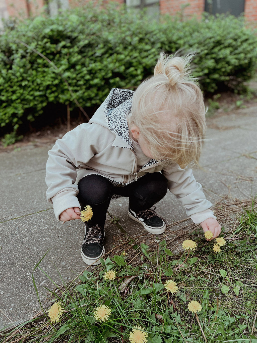 Jacke Softshelljacke Kinderjacke beige und innen leo oder gestreift